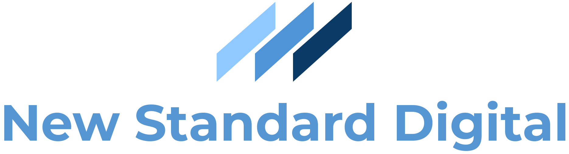 New Standard Digital Logo